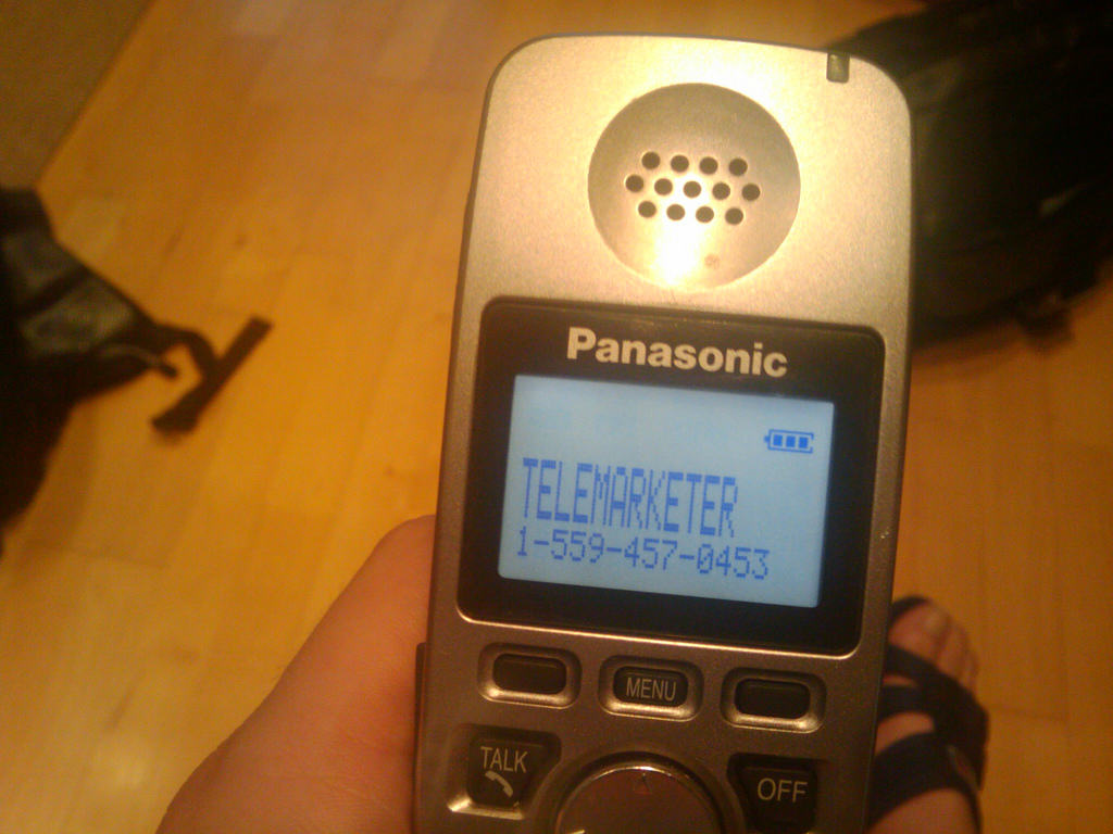 Read The Joy of How To Play With Telemarketers
